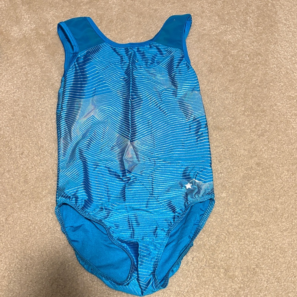 Kids Blue Striped gymnastics leotard